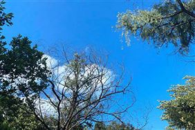 奔跑加速度！菲达环保一批项目刷新进度条