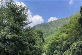 江西成立全国首支市场化矿山生态修复基金