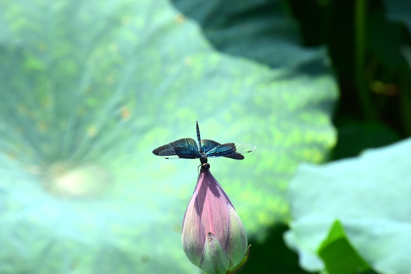 一文读懂聚丙烯制品：从膜材到民生，这些场景都离不开它