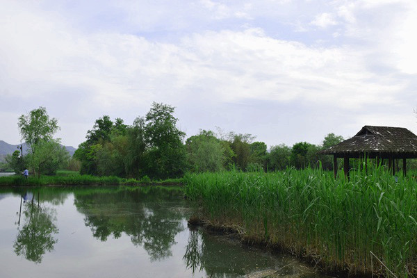 甘肃各市州局扎实开展树立和践行正确政绩观学习教育