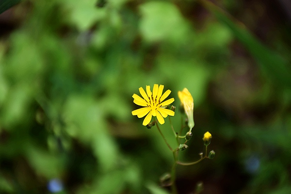 天中锦绣服饰获评“2025年度省级巧媳妇创业就业标杆”